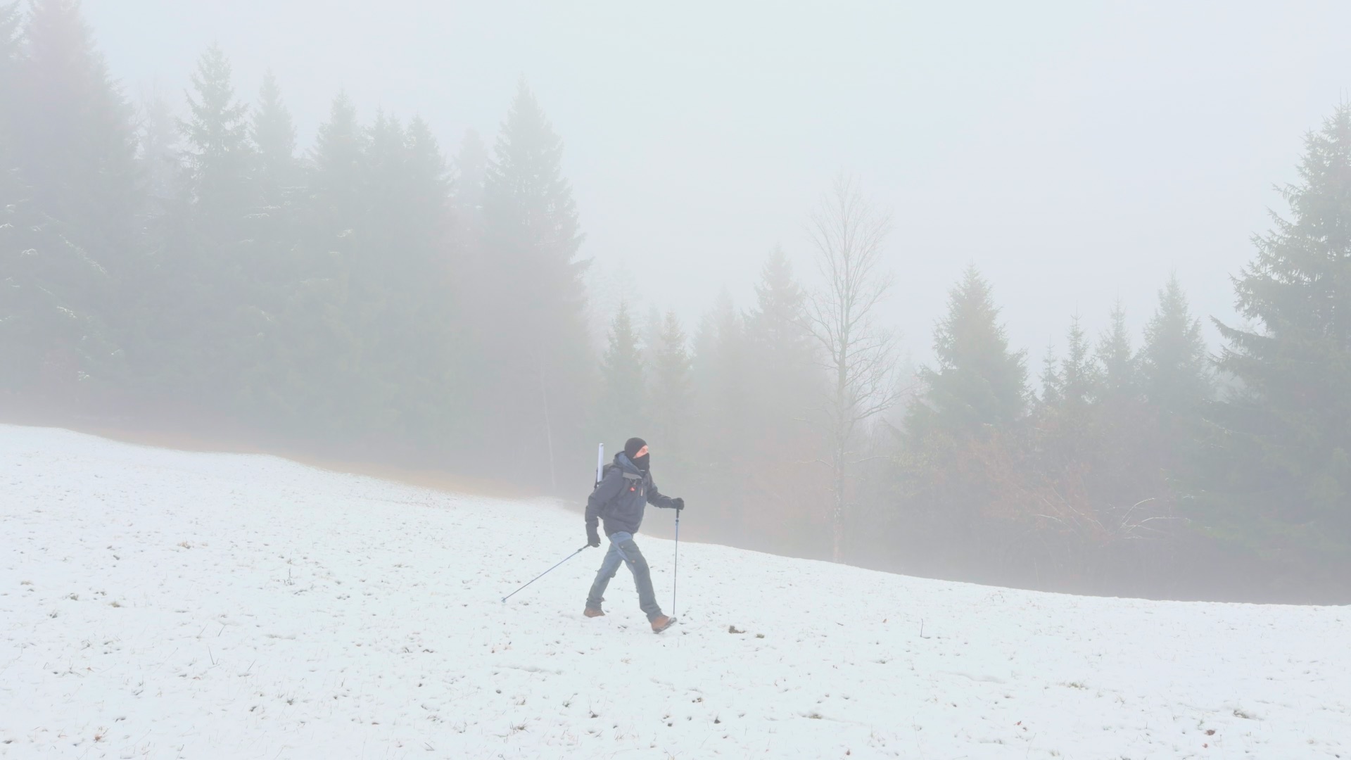 Photography of a person warmly clothed traverses a foggy big white patch of snow with dark trees in the background